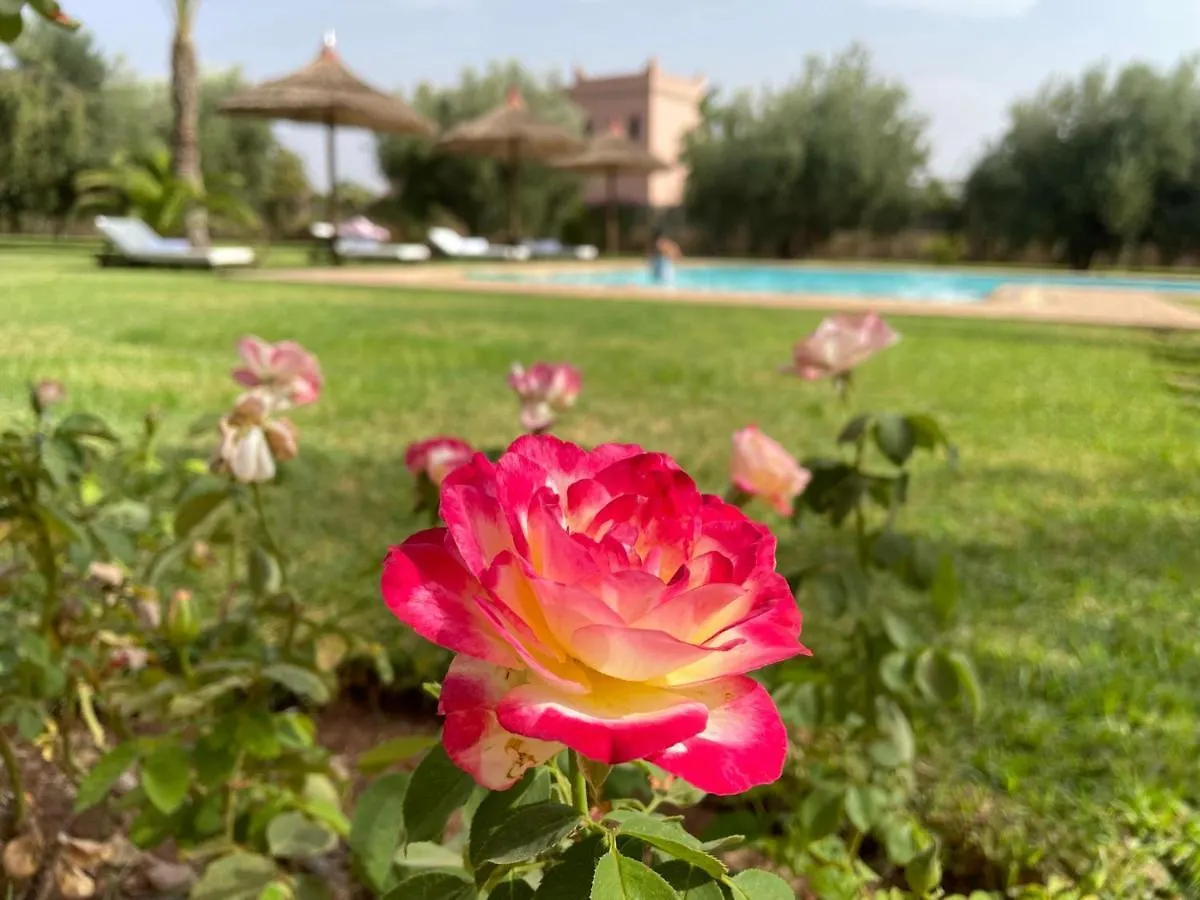 Villa Riadi In Marrakech Μαρακές