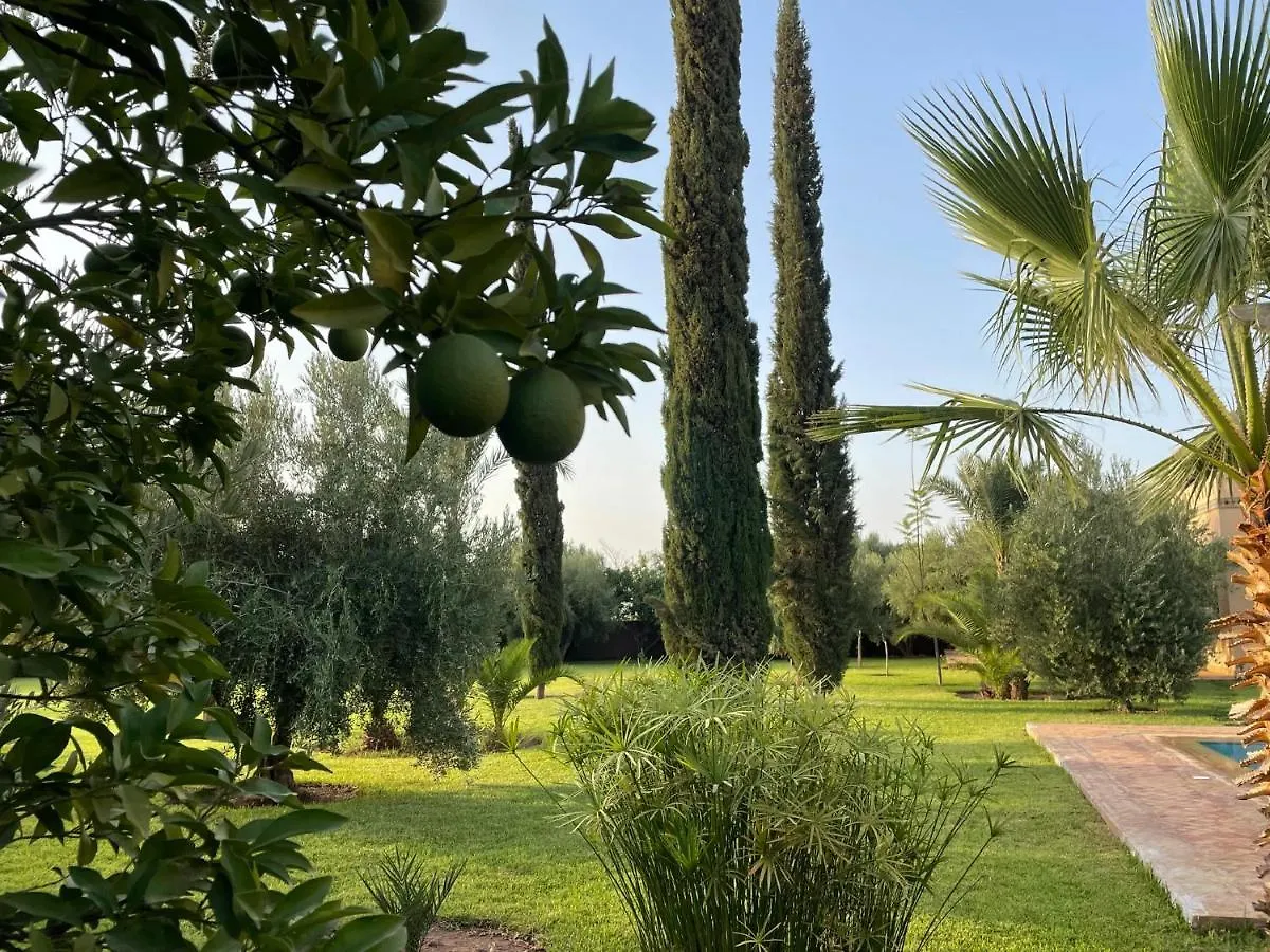 Villa Riadi In Marrakech Marrakesh